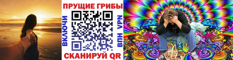 Галлюциногенные грибы Psilocybe  Первомайск 